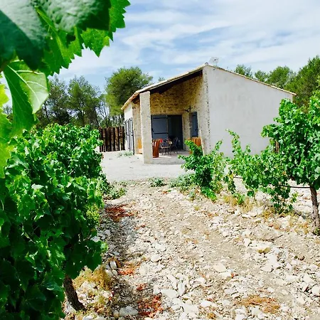 Les Lodges Du Pic Le Triadou Exterior foto